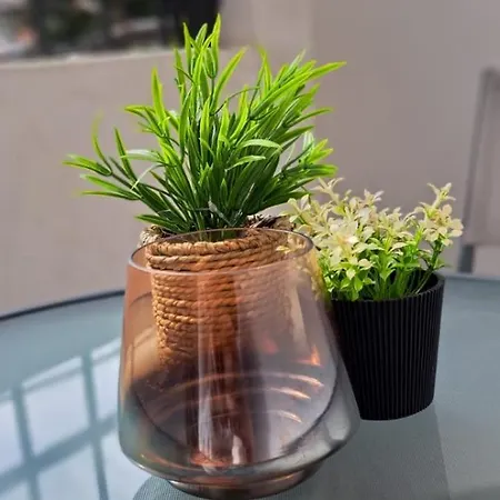 Edgar's Center Daire Tiran