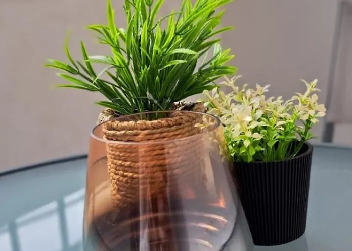 Edgar's Center アパート ティラナ